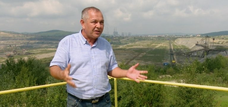 dumitru pîrvulescu