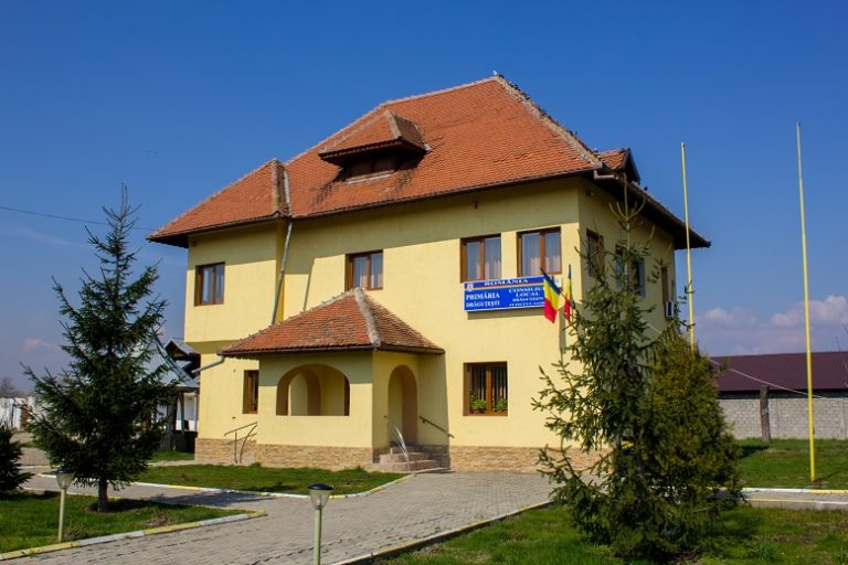 primăria drăguțești