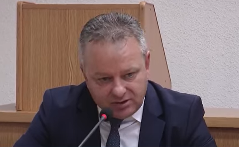 ion iordache